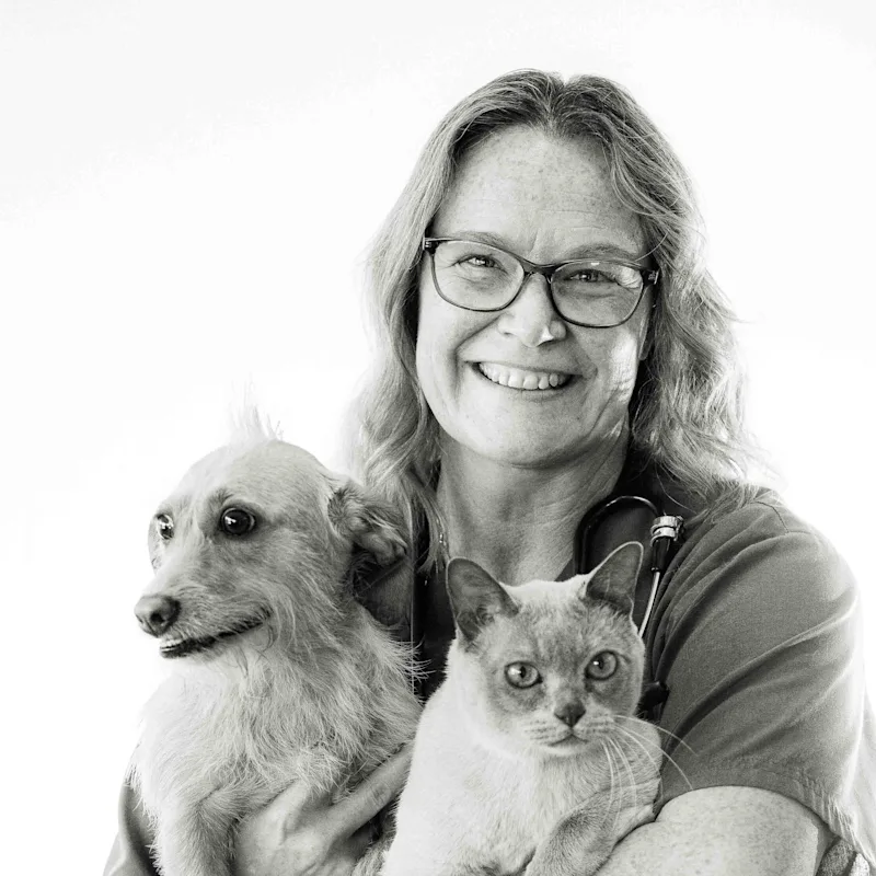 Dr. Cathy Gallahorn Dr. Cathy Gallahorn