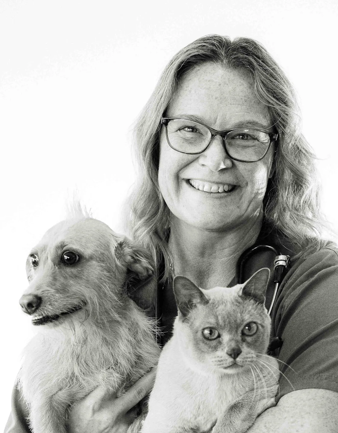 Dr. Cathy Gallahorn Dr. Cathy Gallahorn