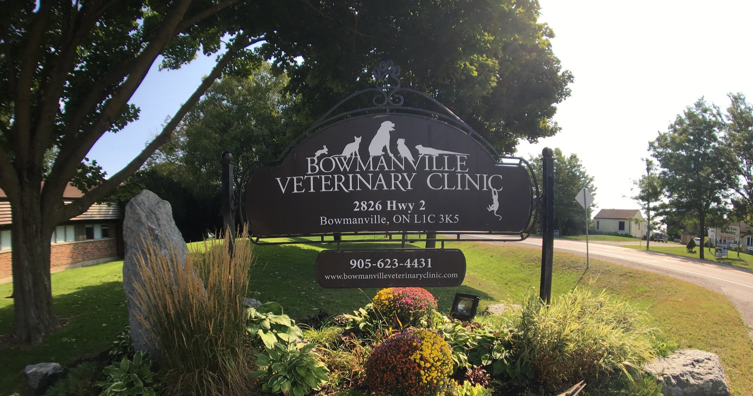 Animal Hospital in Bowmanville, ON | Bowmanville Veterinary Clinic