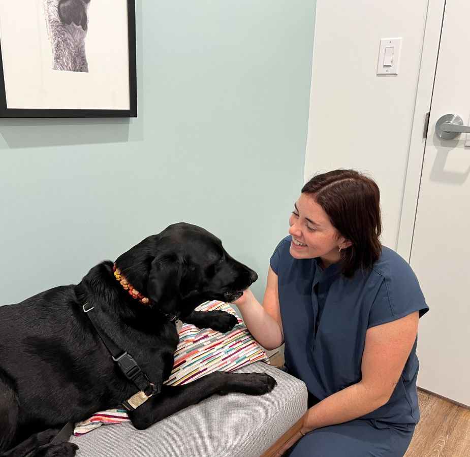 A photo of Bry & Stella in an exam room