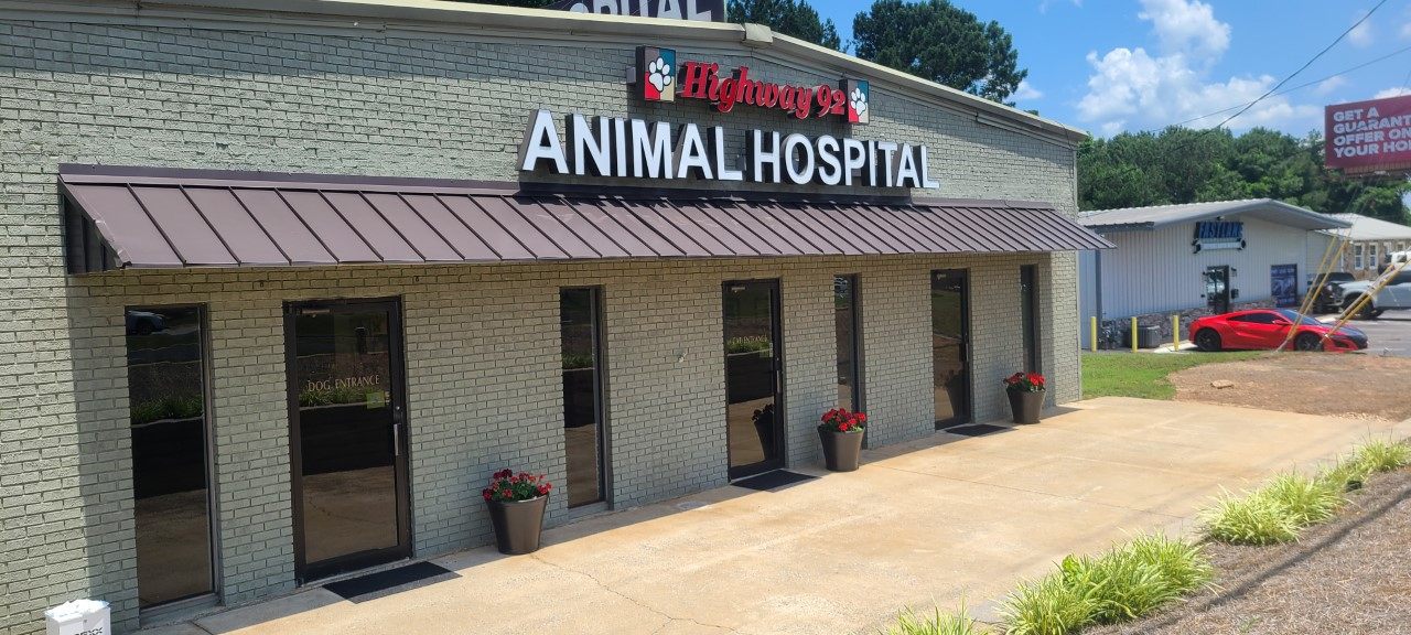 Veterinarian in Woodstock, GA | Highway 92 Animal Hospital