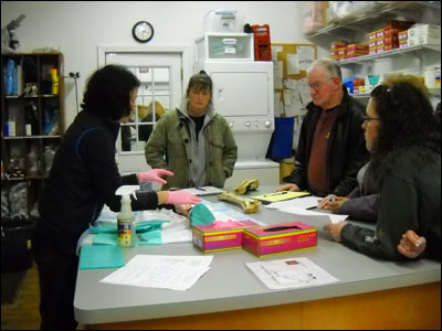 Veterinarian teaching clients with diagrams