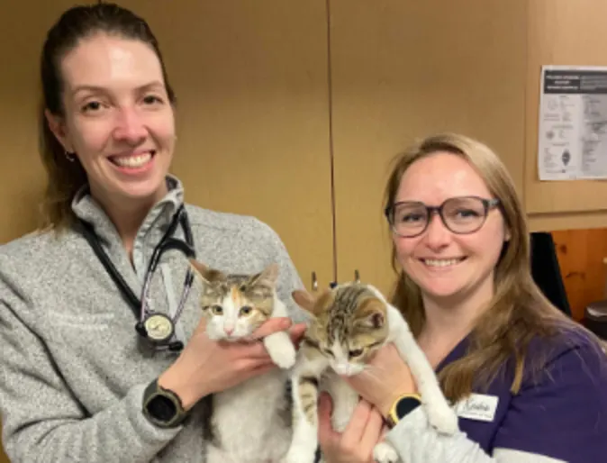 Staff with kittens Staff with kittens