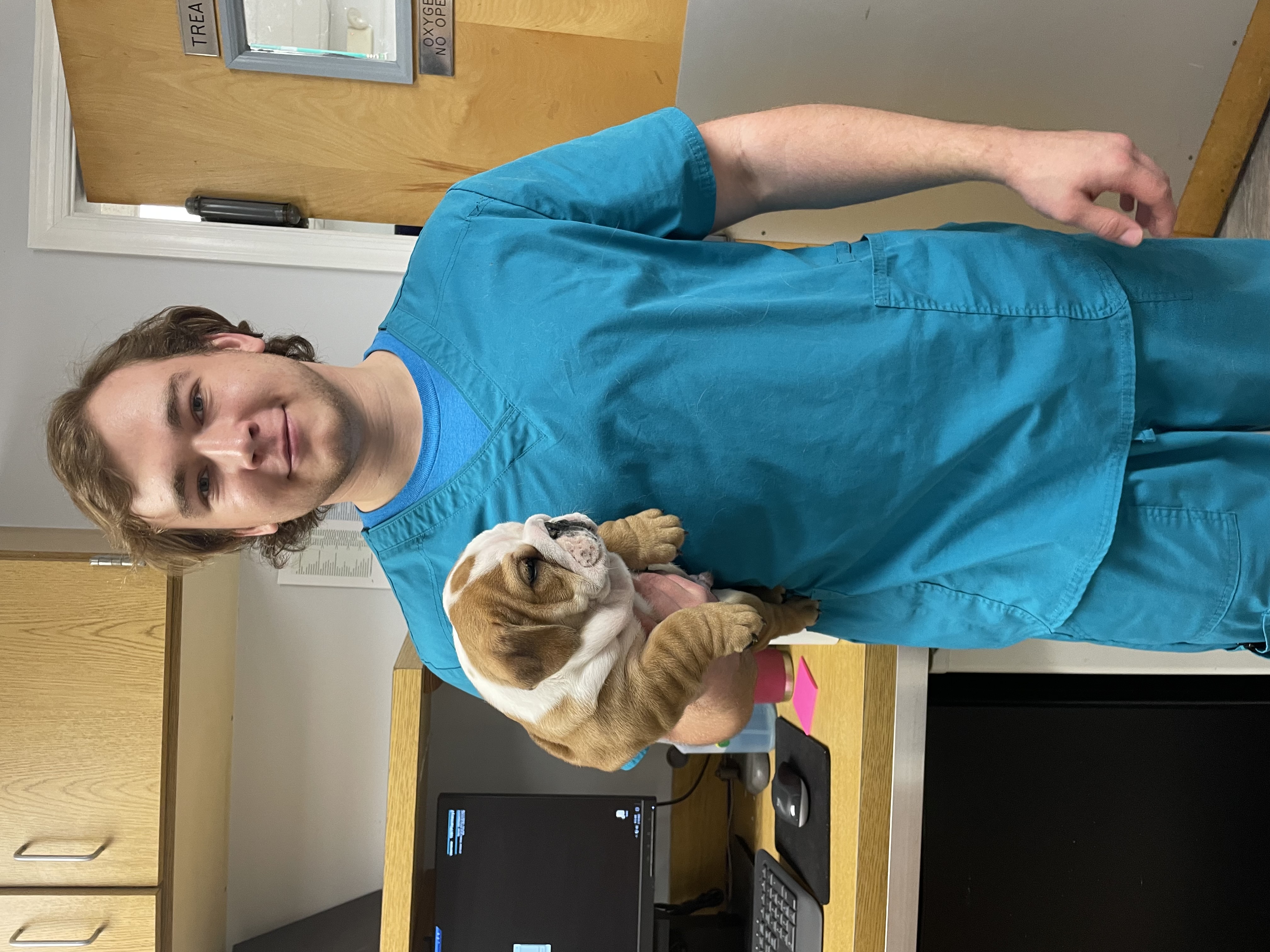 Vet Holding Brown and White Dog at Ferry Farm Animal Clinic