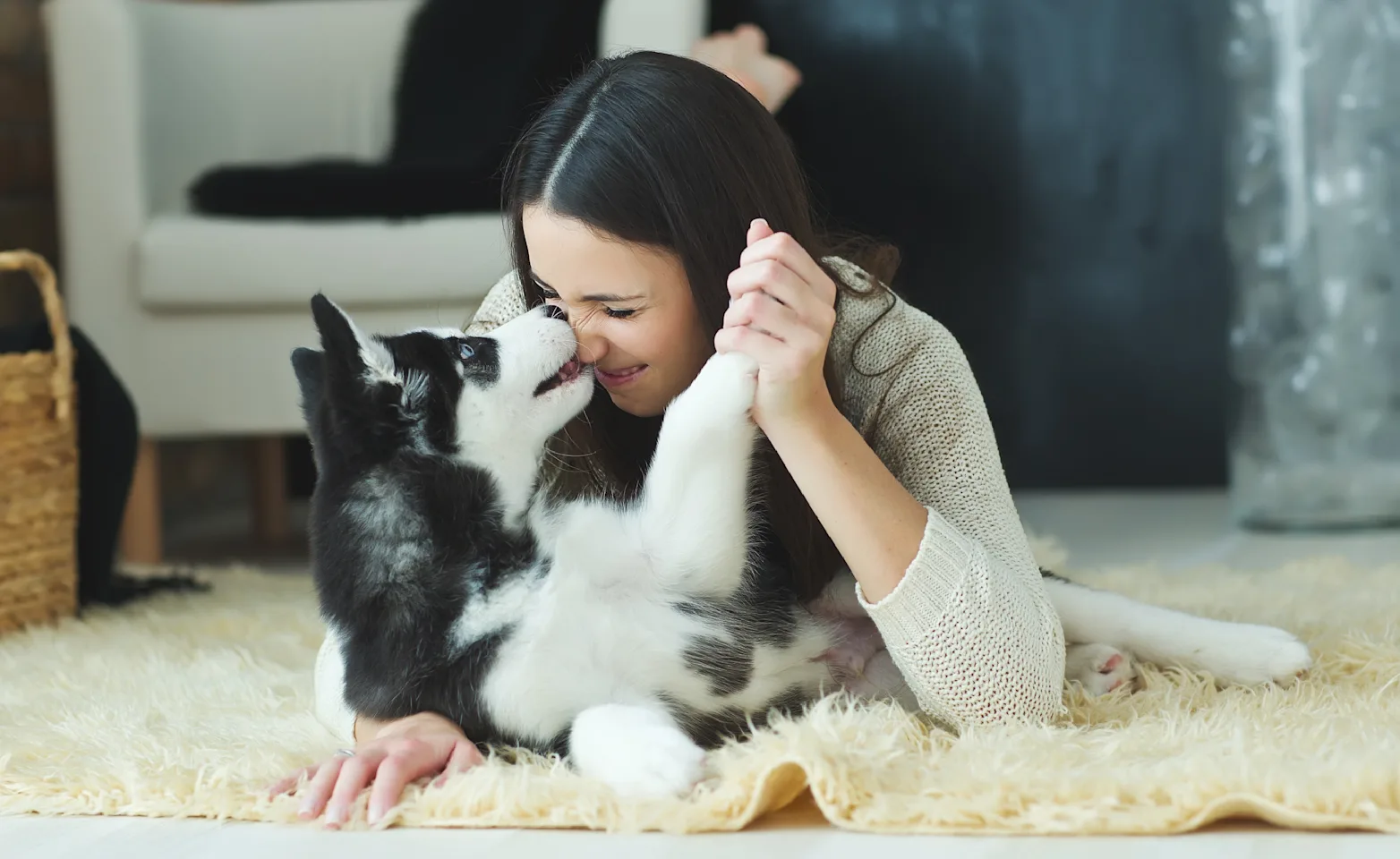 Dog kissing woman on the nose Dog kissing woman on the nose