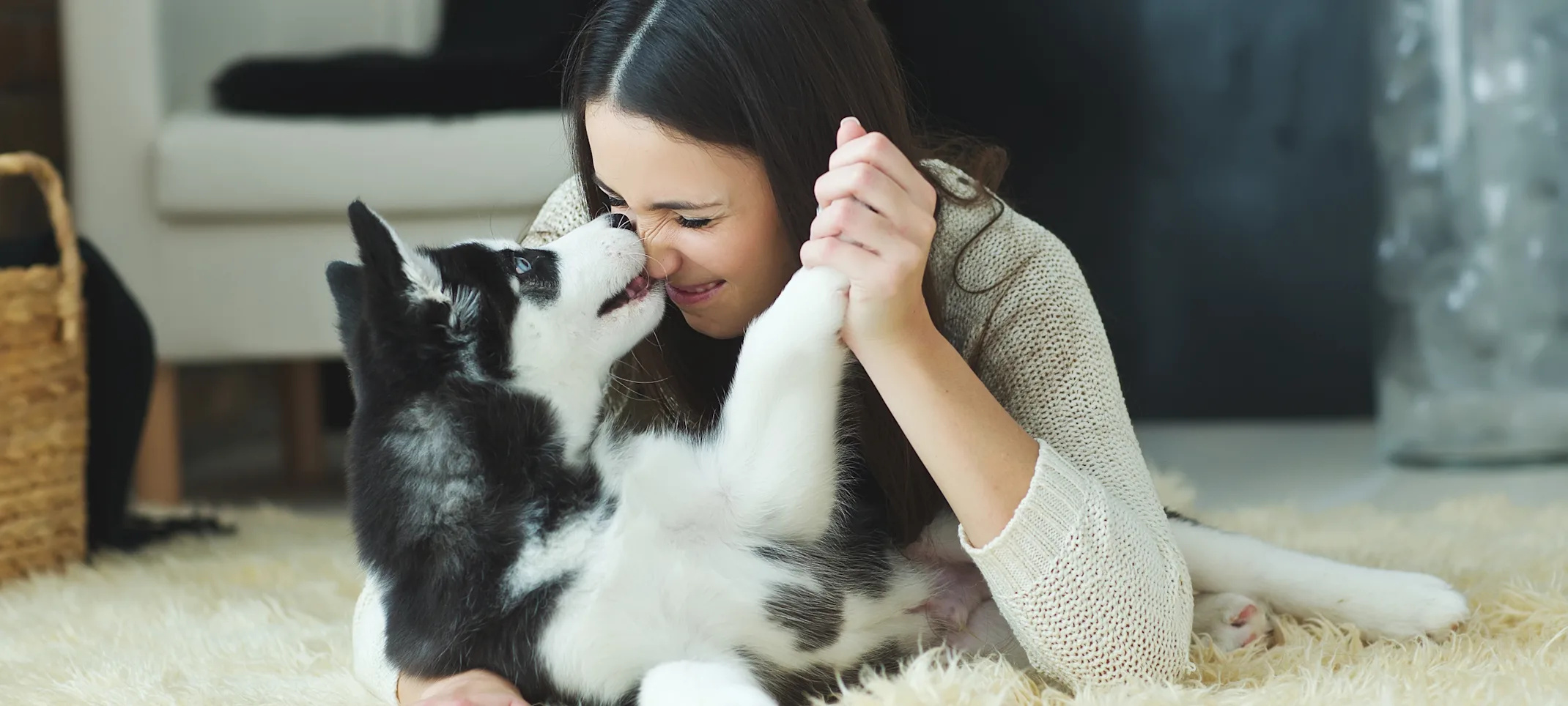 Dog kissing woman on the nose Dog kissing woman on the nose
