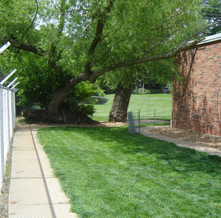 Florissant Animal Hospital Yard