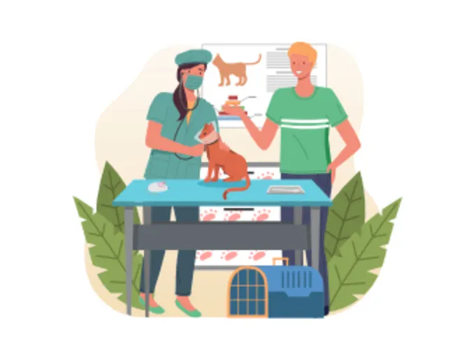 A Cartoon of a Veterinarian Examining a Brown Cat A Cartoon of a Veterinarian Examining a Brown Cat