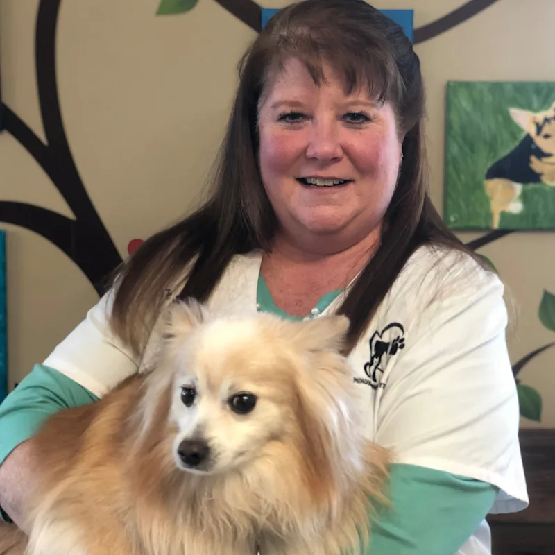 Dr. Therese Simon Dr. Therese Simon