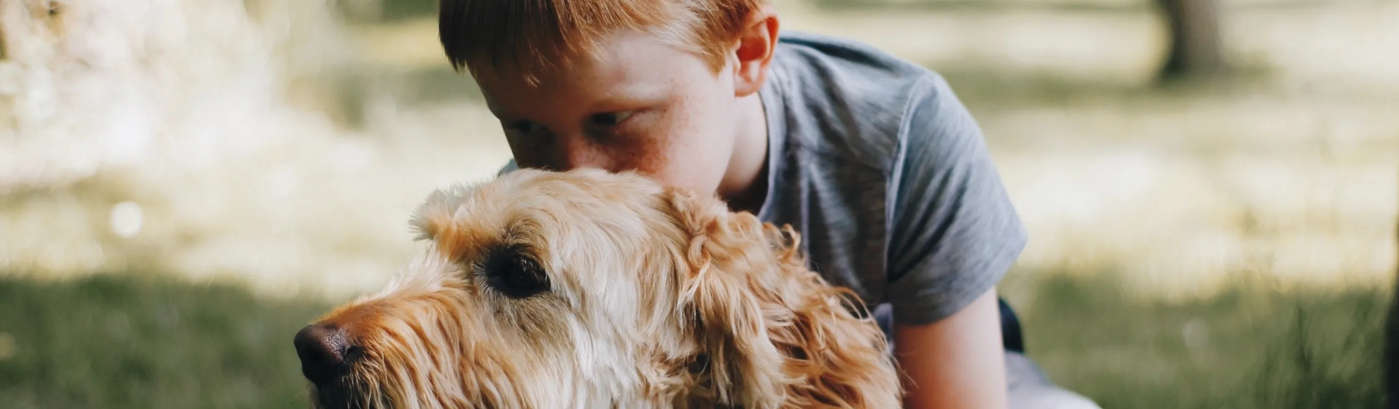 dog and boy laying down in park