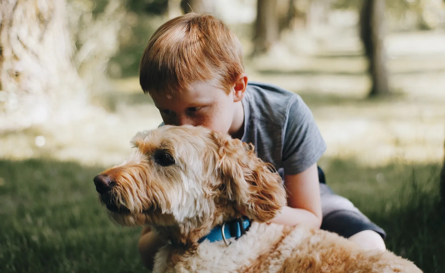 dog and boy laying down in park