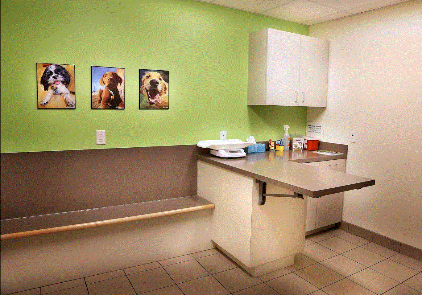 Austin Vet Hospital Observation Room