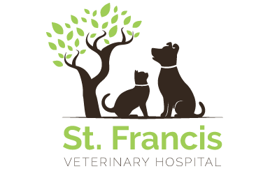 St francis sale vet near me