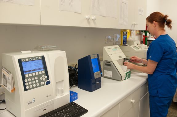Doctor analysing blood work 