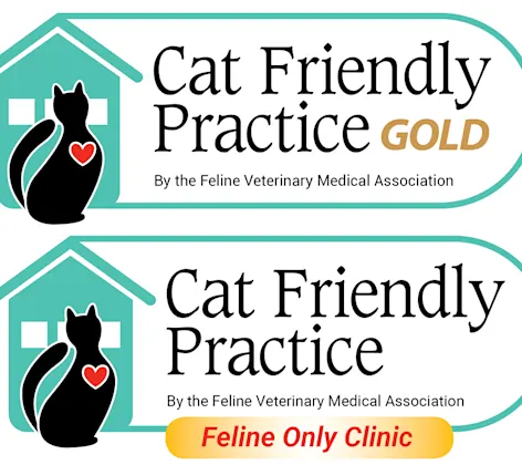 Cat Friendly Practice Logo Cat Friendly Practice Logo