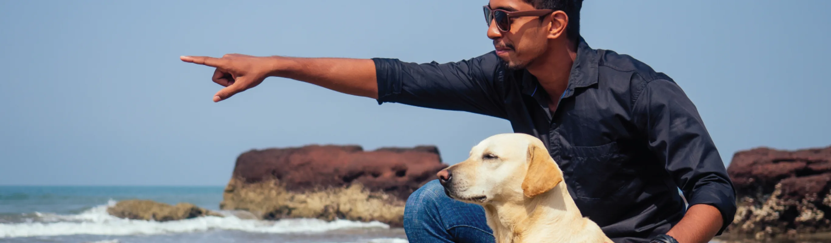 Man and dog on the beach and the man is pointing something towards the beach.