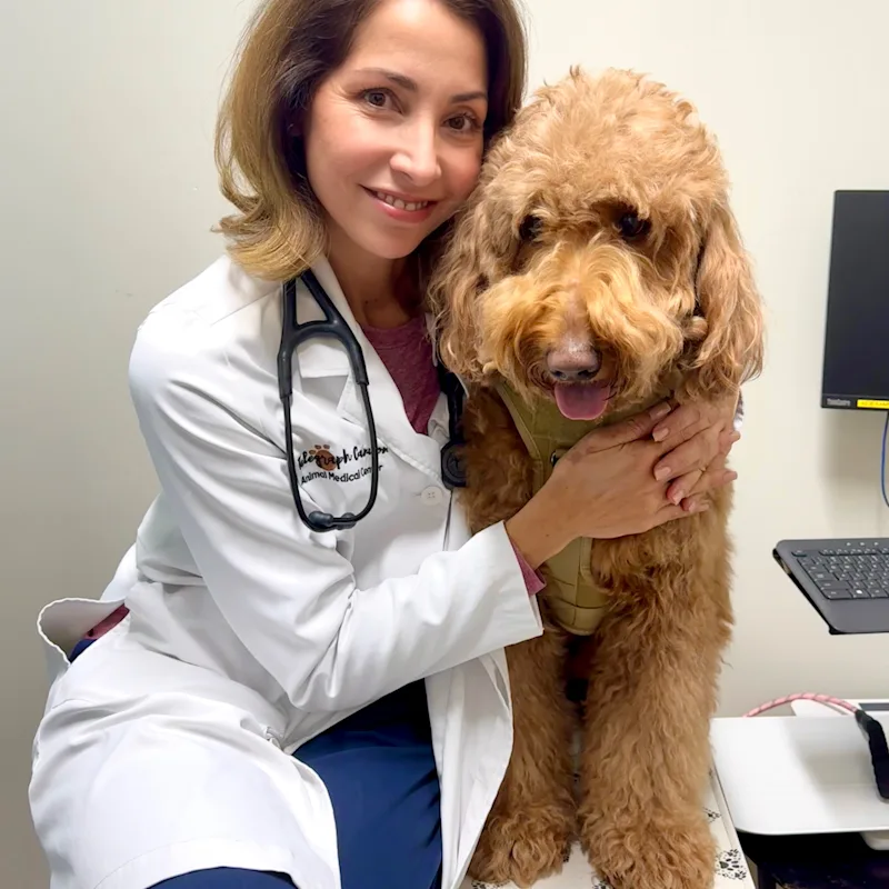 Dr. Alina Mier Y Terán's staff photo from Telegraph Canyon Animal Medical Center Dr. Alina Mier Y Terán's staff photo from Telegraph Canyon Animal Medical Center