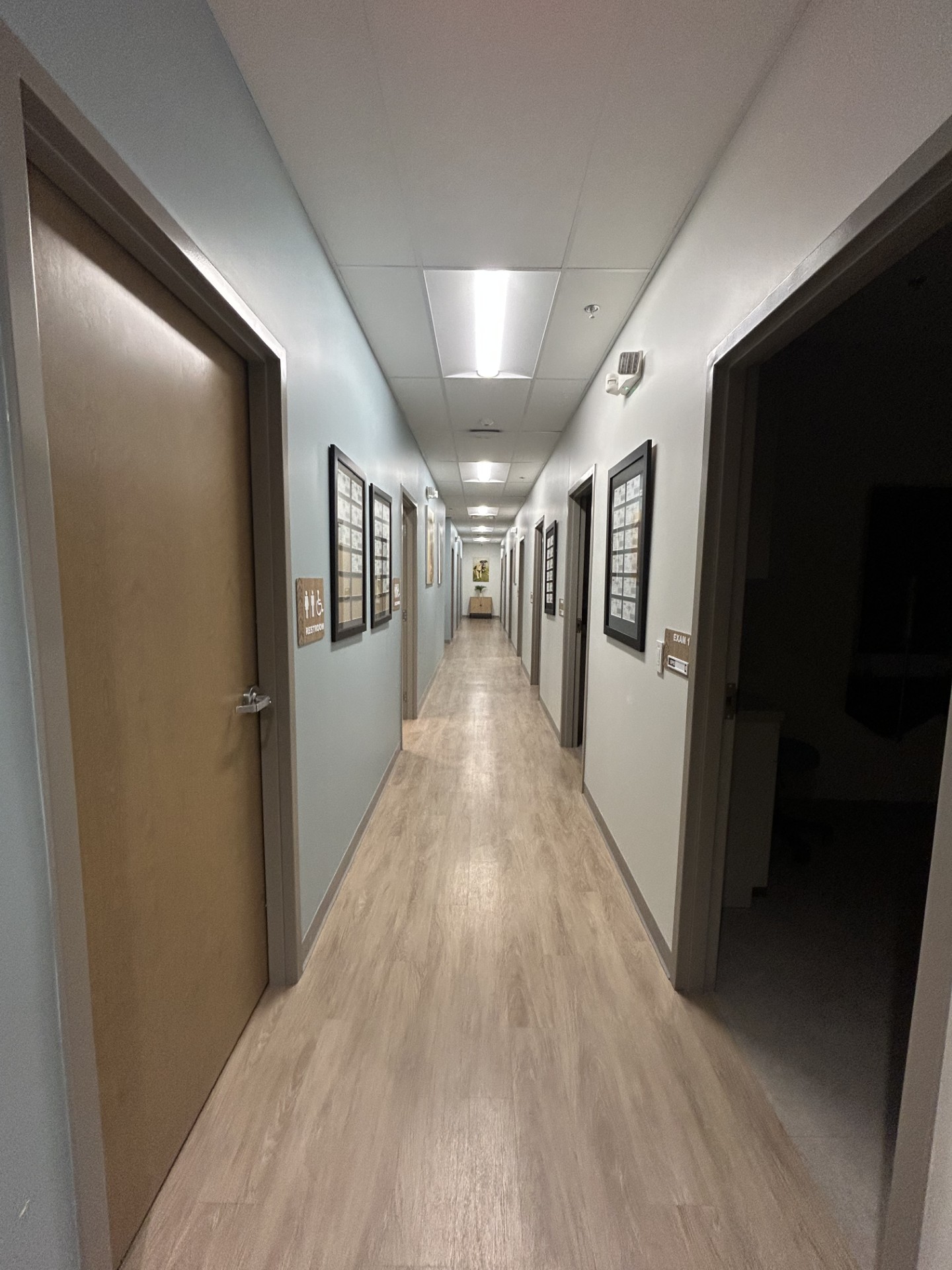 Vista Veterinary Specialists Exam Rooms Hallway