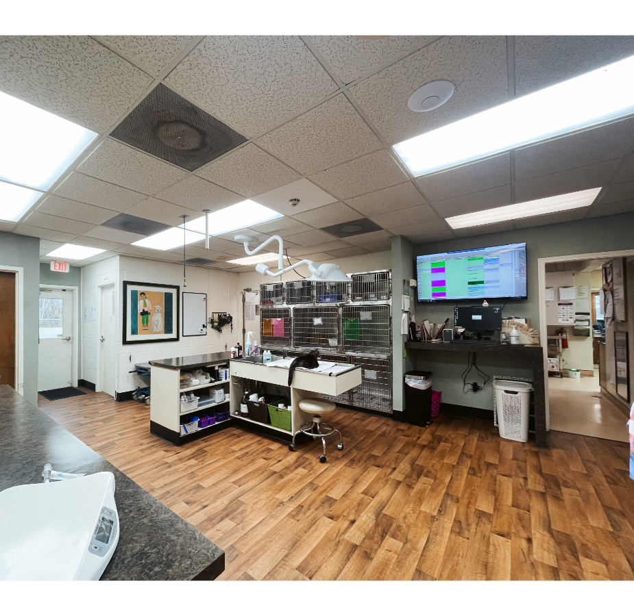 Treatment Room at Eastern Shore Animal Hospital