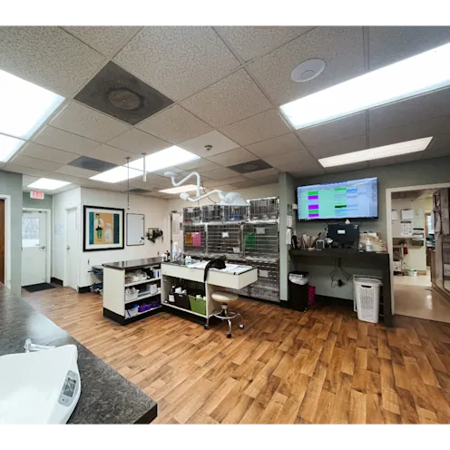 Treatment Room at Eastern Shore Animal Hospital Treatment Room at Eastern Shore Animal Hospital