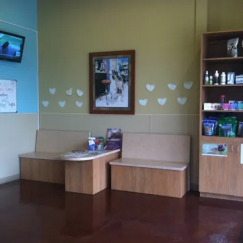 Waiting area with pet food and medicine shelf