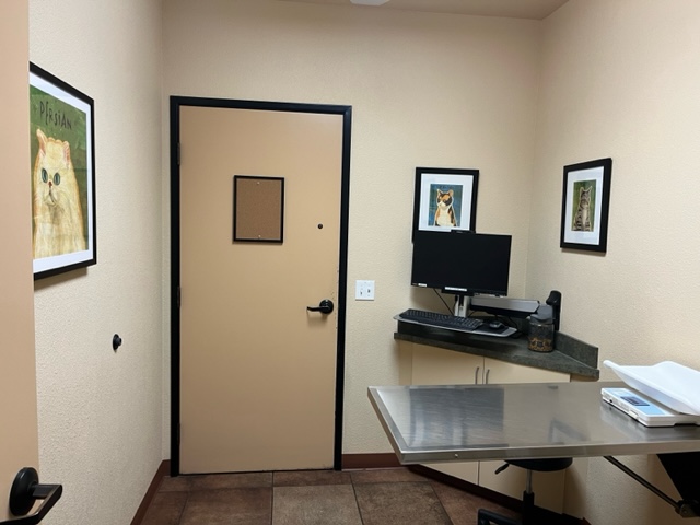 Exam room at Arroyo Veterinary Center