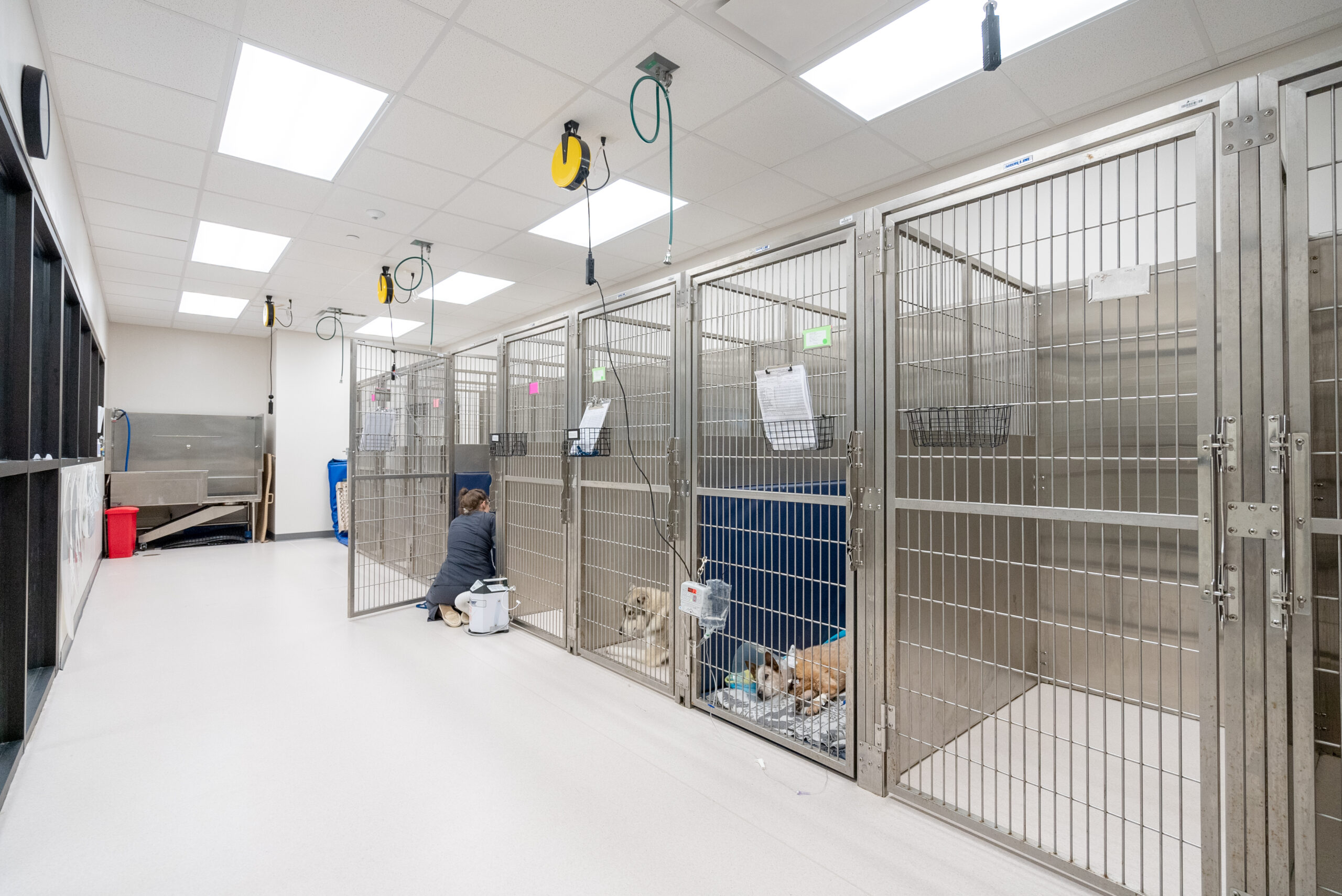 Red Bank Veterinary Hospital Hillsborough facility
