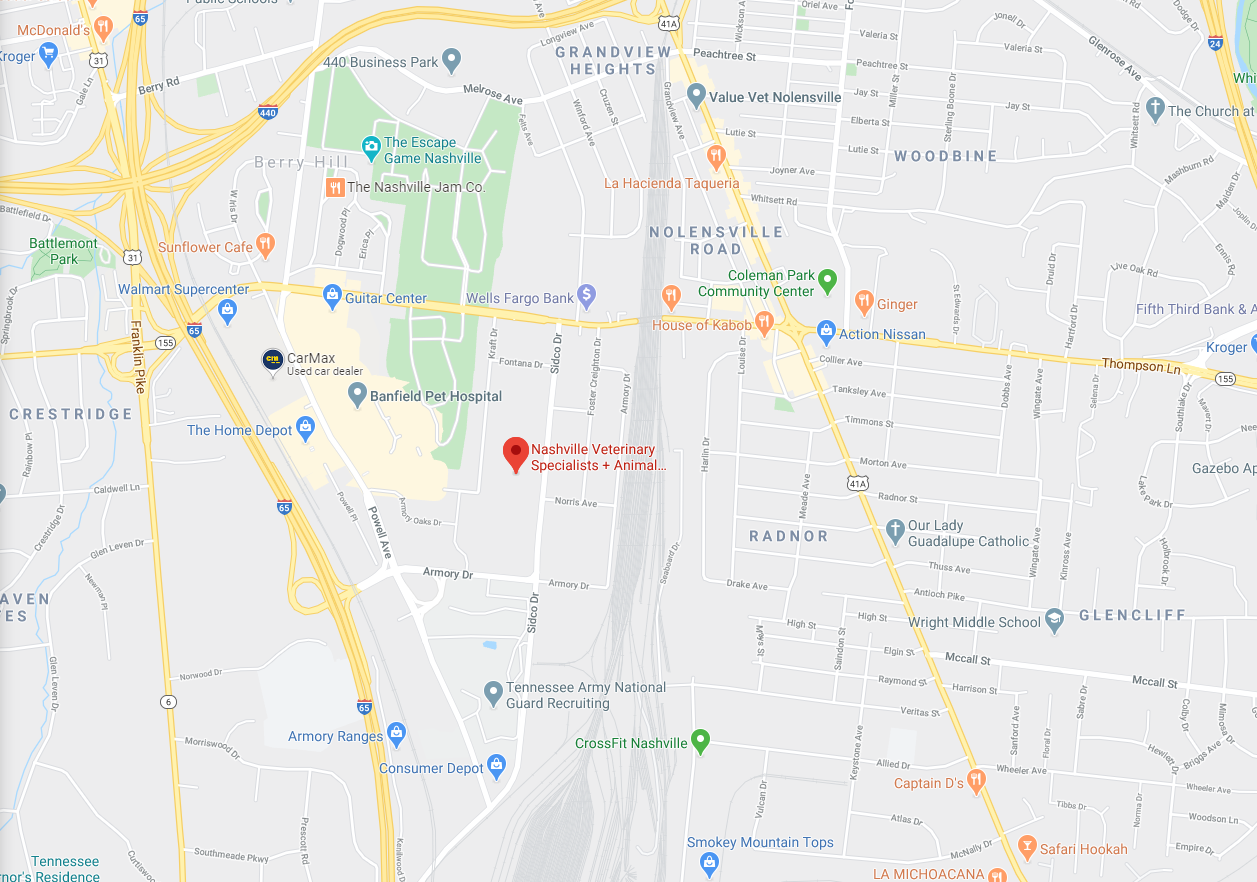 Nashville Veterinary Specialists and Animal Emergency