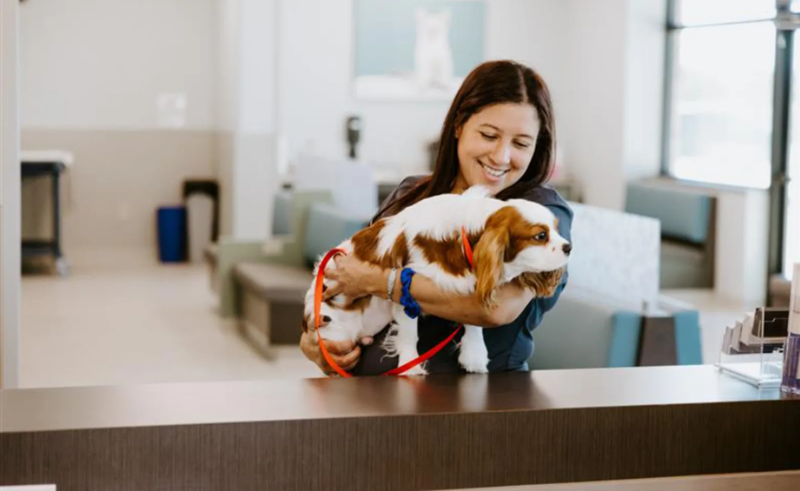 Pet parent holding pup Pet parent holding pup