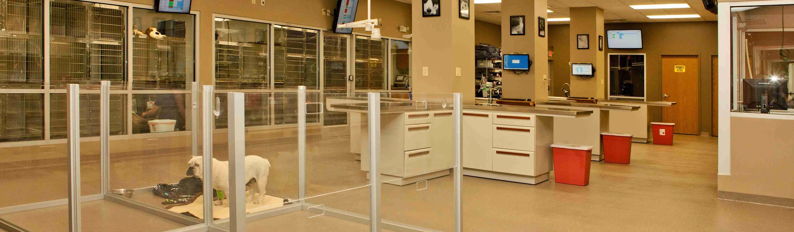 Services Service Room and Stations at SAHO