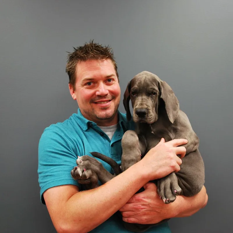 Dr. Robert B. Buchanan III holding a grey dog Dr. Robert B. Buchanan III holding a grey dog