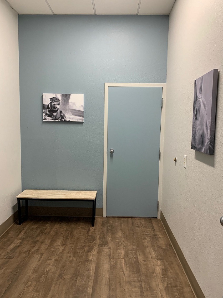 Exam room at All Creatures Animal Clinic