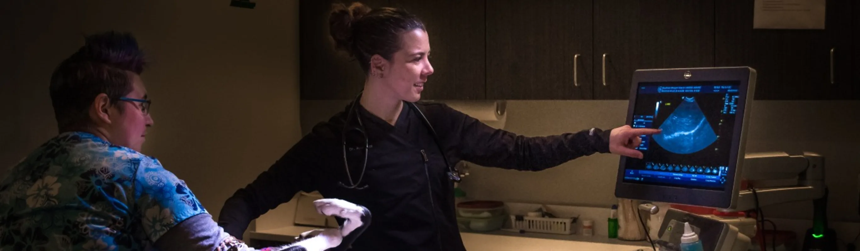 Two staff members, one pointing at a screen of advanced imaging. Two staff members, one pointing at a screen of advanced imaging.