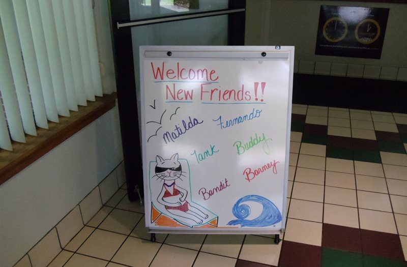 Coventry Animal Hospital Welcome Sign