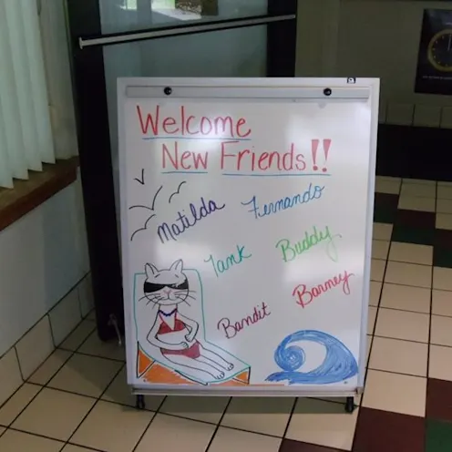 Coventry Animal Hospital Welcome Sign Coventry Animal Hospital Welcome Sign