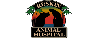 Ruskin Animal Hospital Logo
