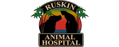 Ruskin Animal Hospital Logo Ruskin Animal Hospital Logo