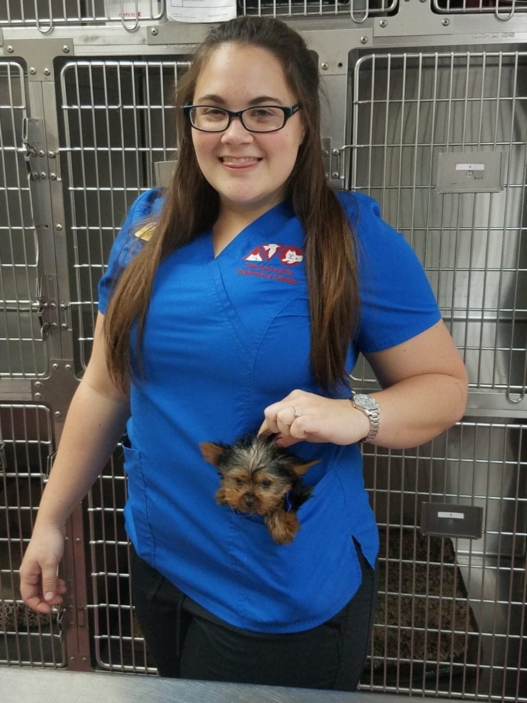 The Animalife Veterinary Center staff with dog in pocket
