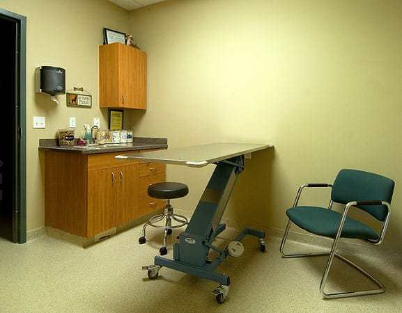 Braden River Animal Hospital Exam Room