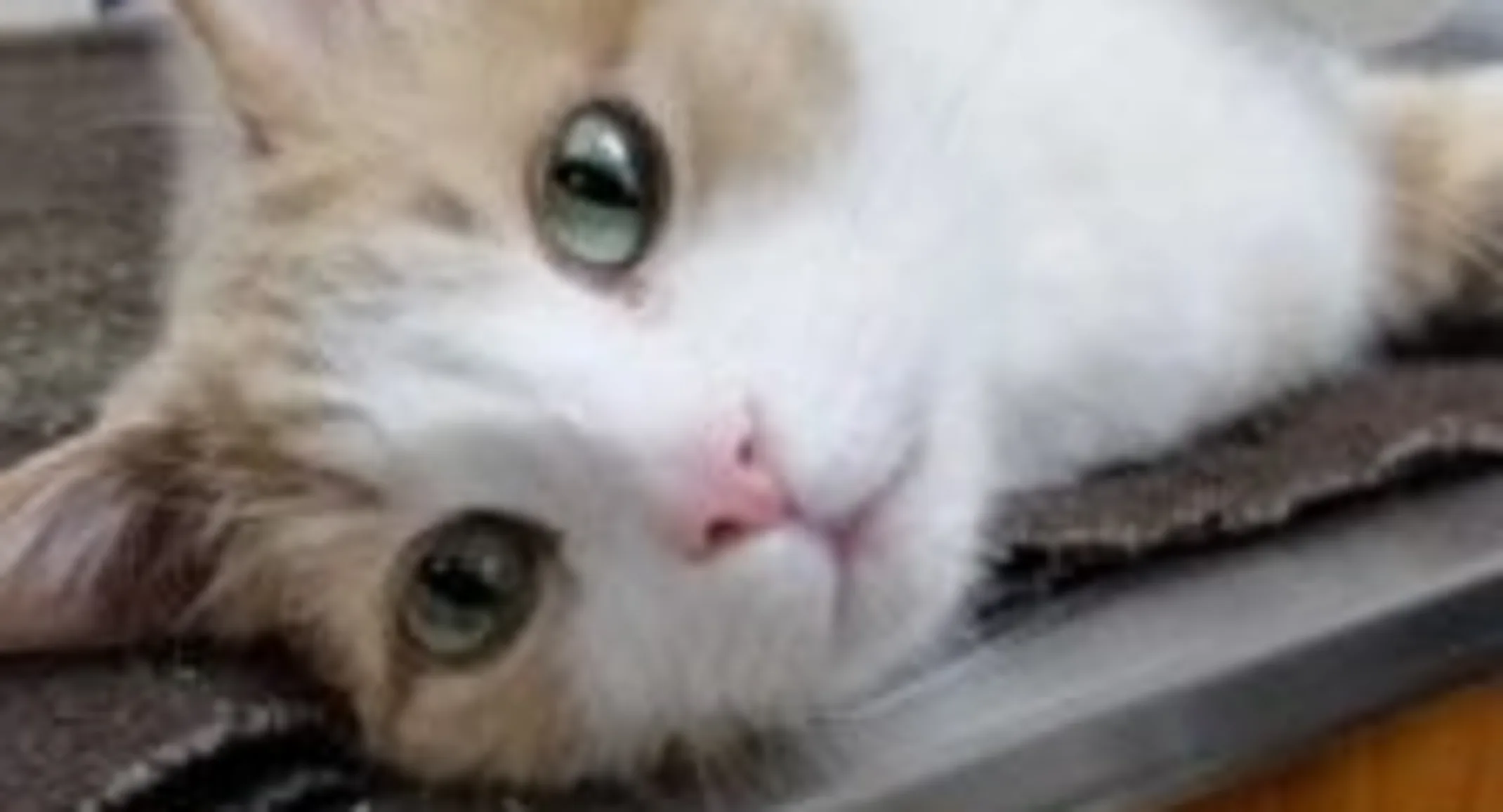 Expo hanging out Expo hanging out