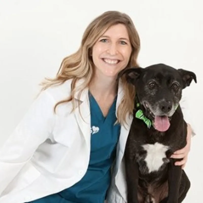 Jenna Scibilia Jenna Scibilia