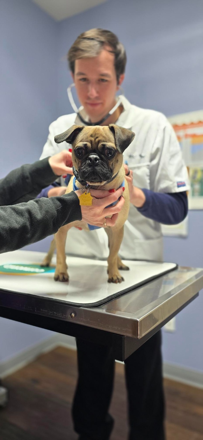 Thorough examinations at every visit.