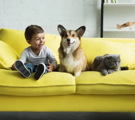 A child, cat, and dog sitting on a green couch