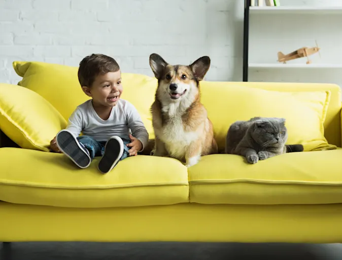 A child, cat, and dog sitting on a green couch A child, cat, and dog sitting on a green couch