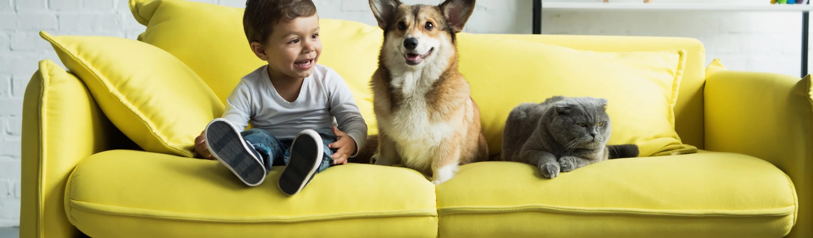 A child, cat, and dog sitting on a green couch