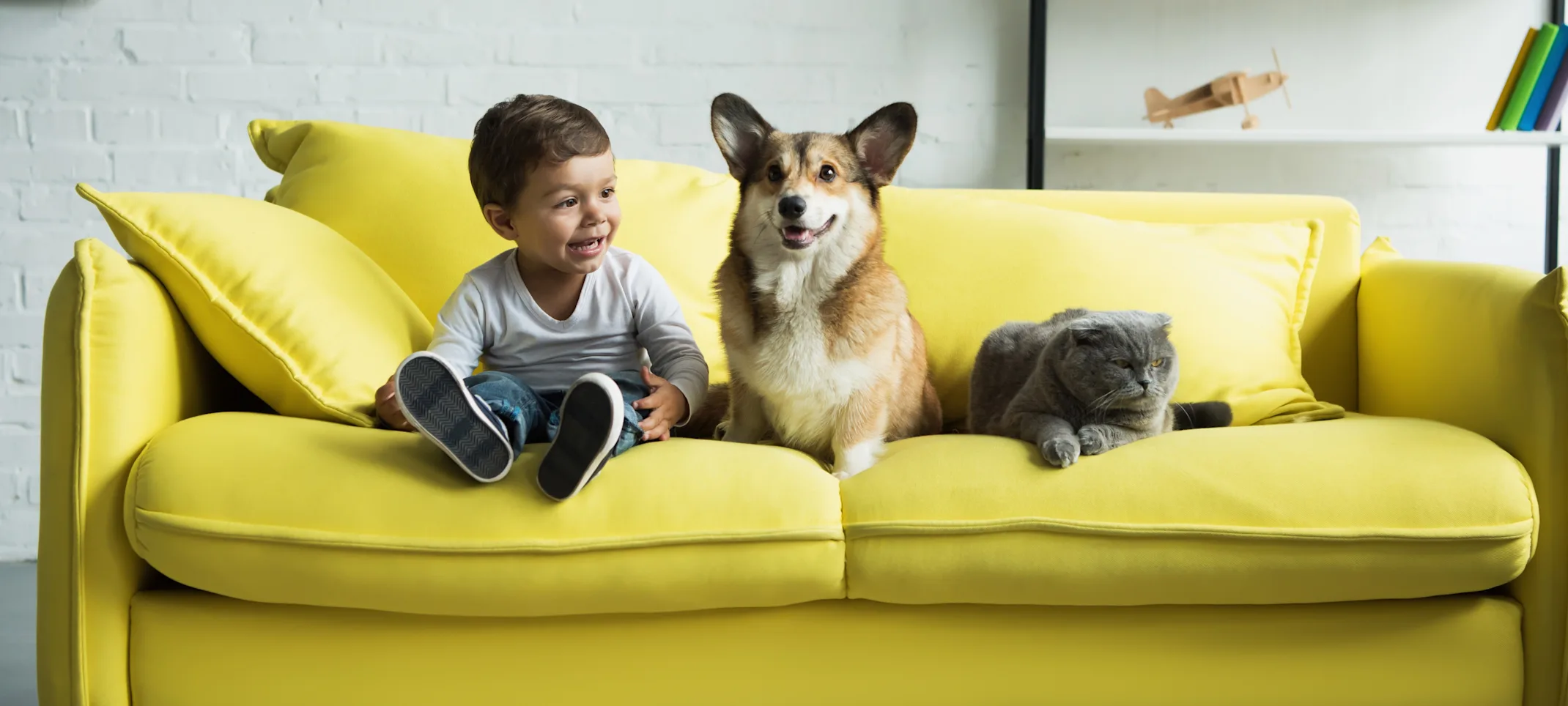 A child, cat, and dog sitting on a green couch A child, cat, and dog sitting on a green couch