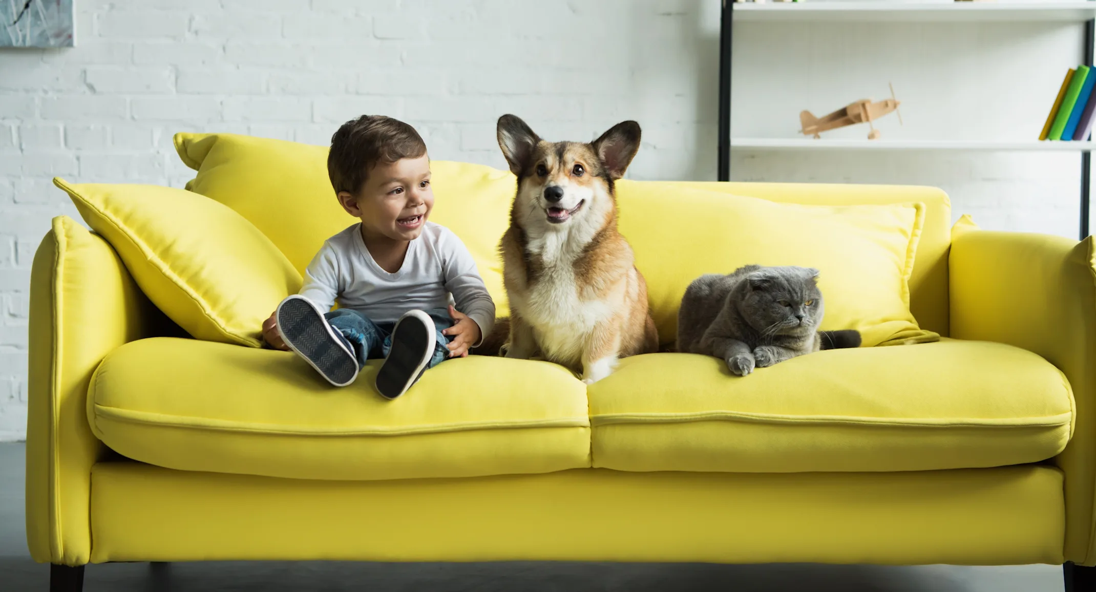 A child, cat, and dog sitting on a green couch A child, cat, and dog sitting on a green couch