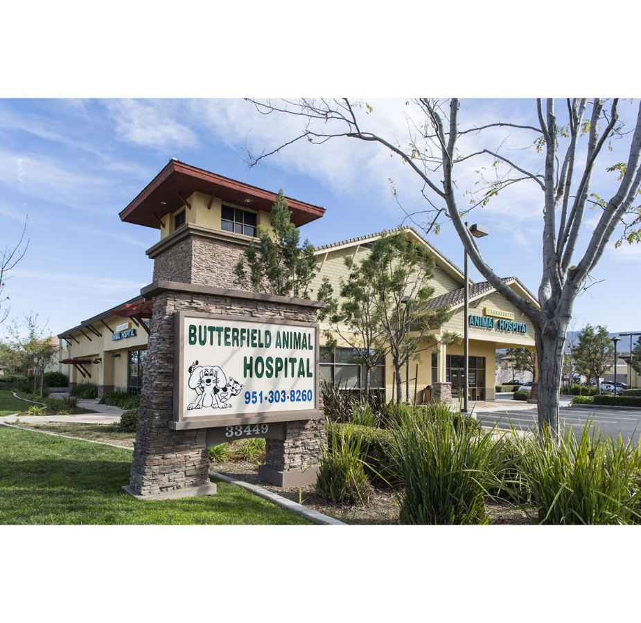 Butterfield Animal Hospital and Sign