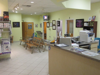 Front desk and waiting area in the lobby at Quail Hollow Animal Hospital