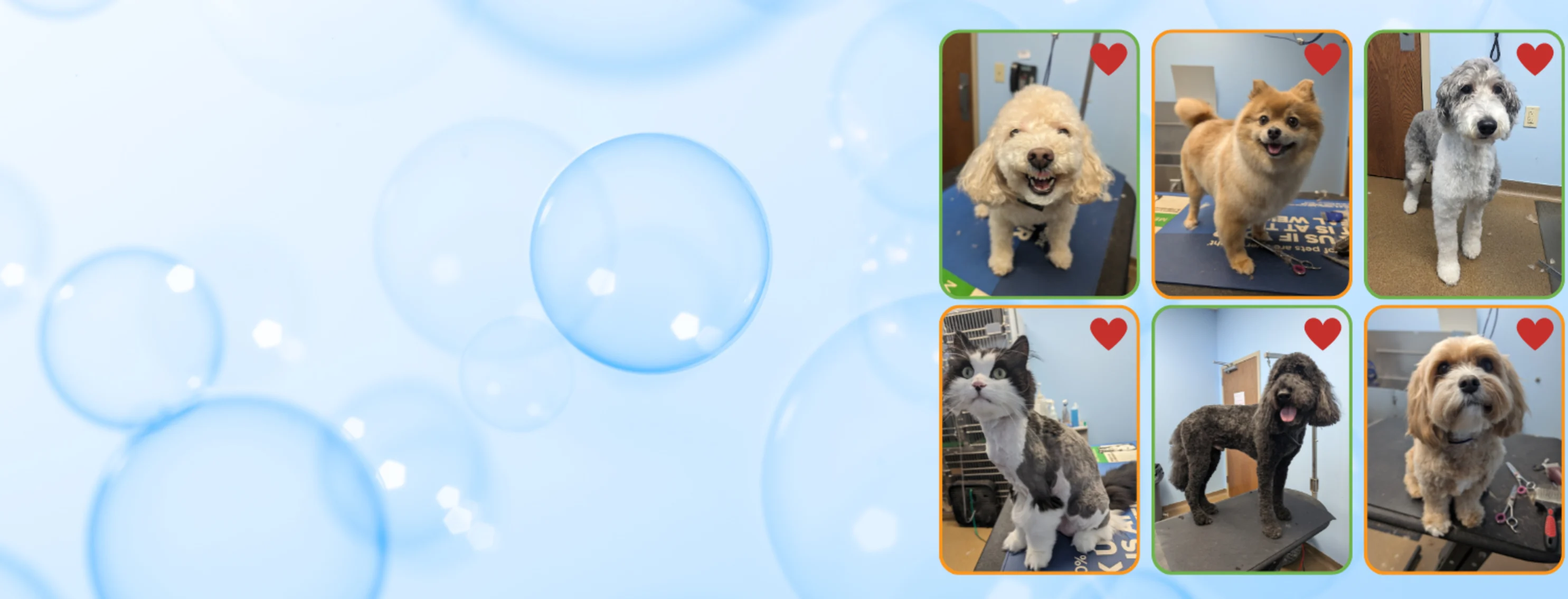 Groomed Pets at Michigan Road Animal Hospital at 96th Street Groomed Pets at Michigan Road Animal Hospital at 96th Street